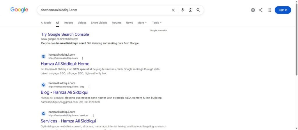 Google site: search for hamzaalisiddiqui.com showing title tags and meta descriptions as they appear in results