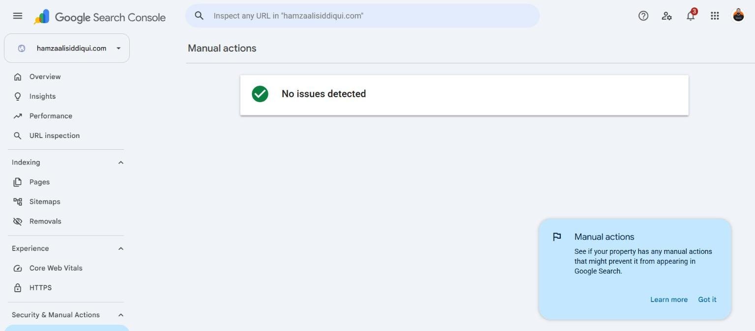 Google Search Console manual actions report showing no issues detected